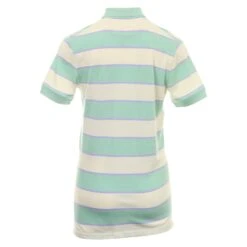 Golf Clothing Shop -Golf Clothing Shop Nike Golf The Rugby Stripe Polo Shirt DH0903 308 2